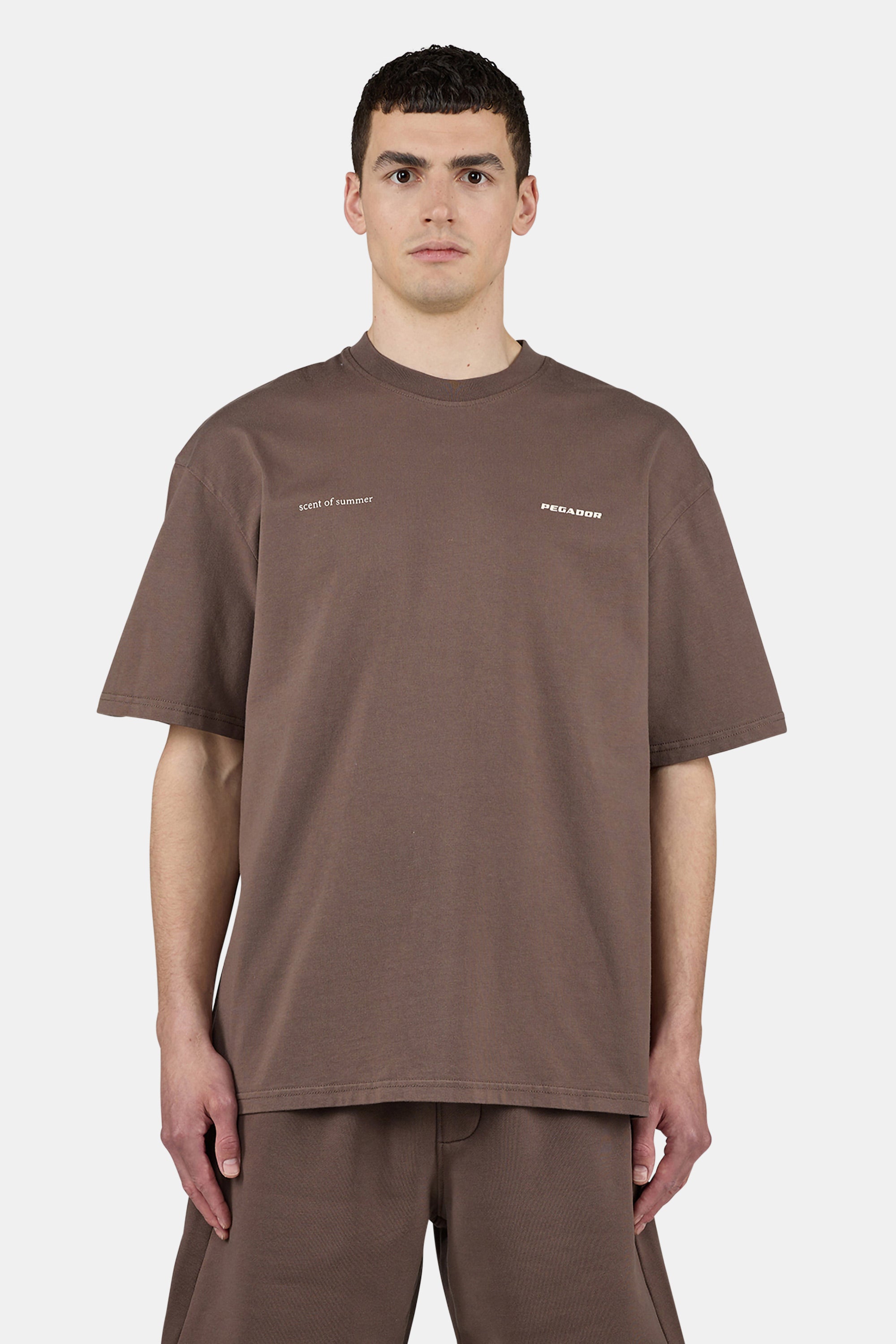 Sentinal Oversized Tee Washed Cozy Brown