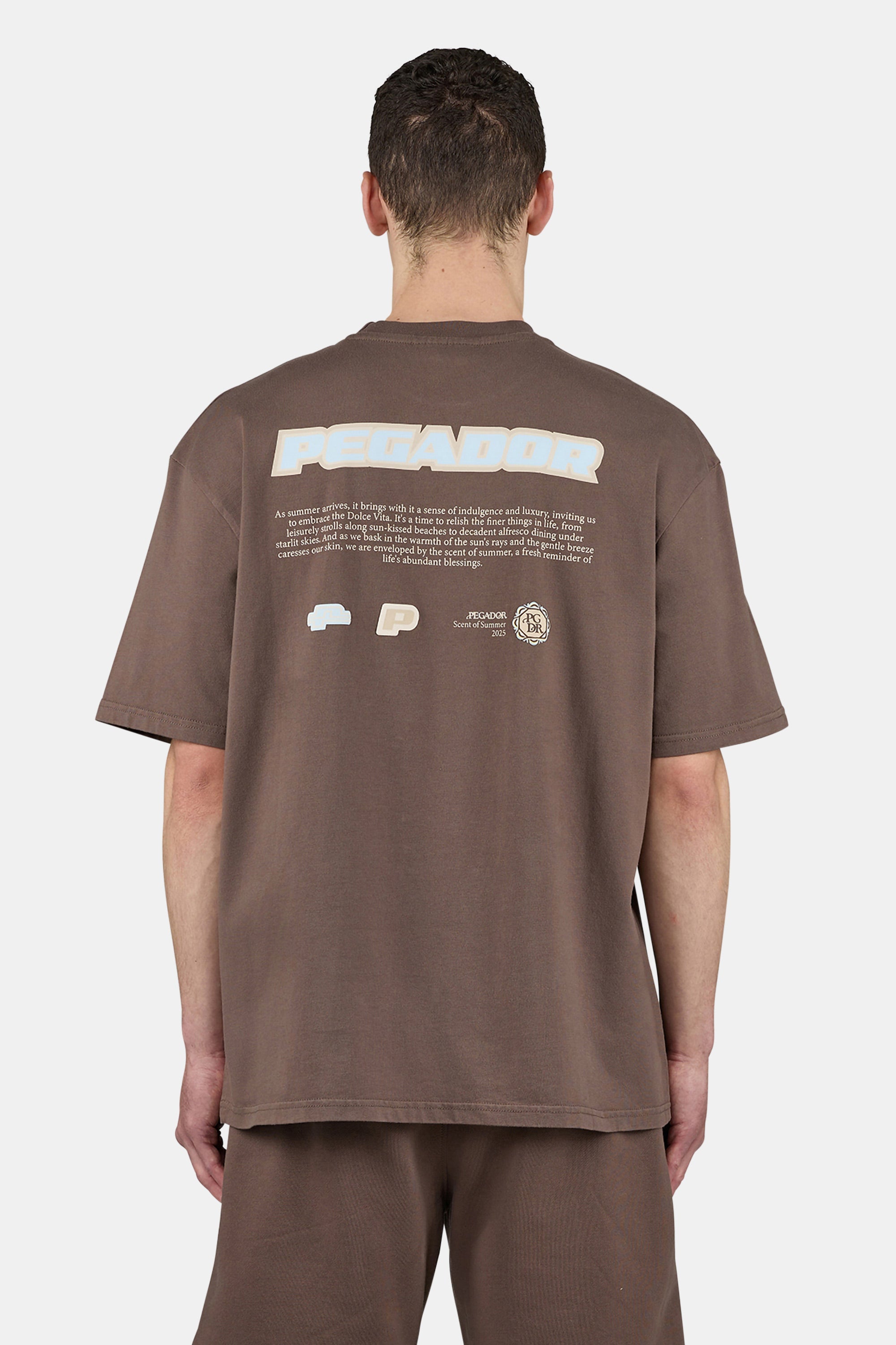Sentinal Oversized Tee Washed Cozy Brown